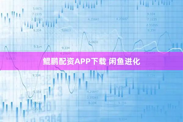 鲲鹏配资APP下载 闲鱼进化