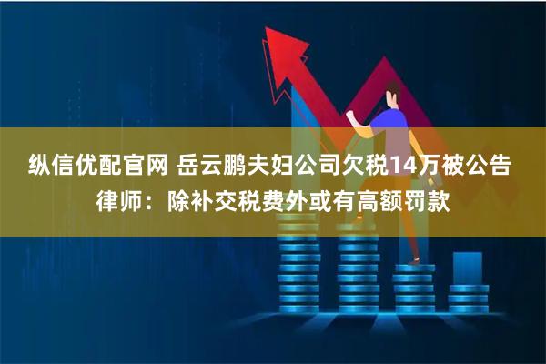 纵信优配官网 岳云鹏夫妇公司欠税14万被公告 律师：除补交税费外或有高额罚款