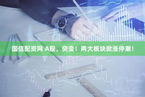 国信配资网 A股，突变！两大板块掀涨停潮！