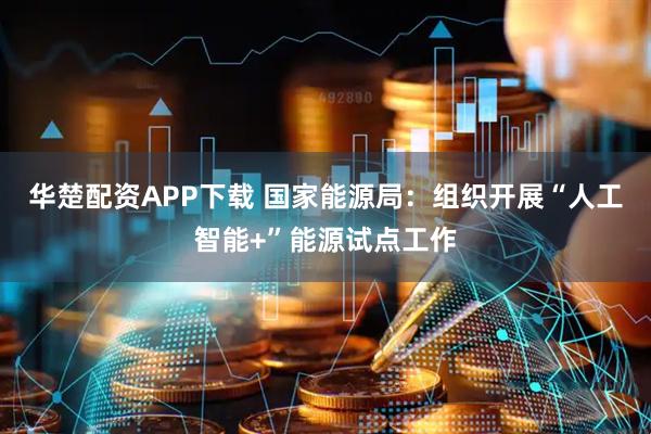 华楚配资APP下载 国家能源局：组织开展“人工智能+”能源试点工作