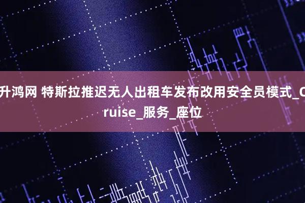 升鸿网 特斯拉推迟无人出租车发布改用安全员模式_Cruise_服务_座位