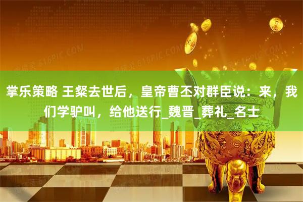 掌乐策略 王粲去世后，皇帝曹丕对群臣说：来，我们学驴叫，给他送行_魏晋_葬礼_名士