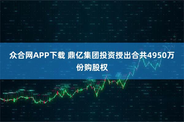 众合网APP下载 鼎亿集团投资授出合共4950万份购股权