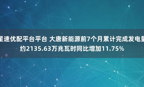 星速优配平台平台 大唐新能源前7个月累计完成发电量约2135.63万兆瓦时同比增加11.75%